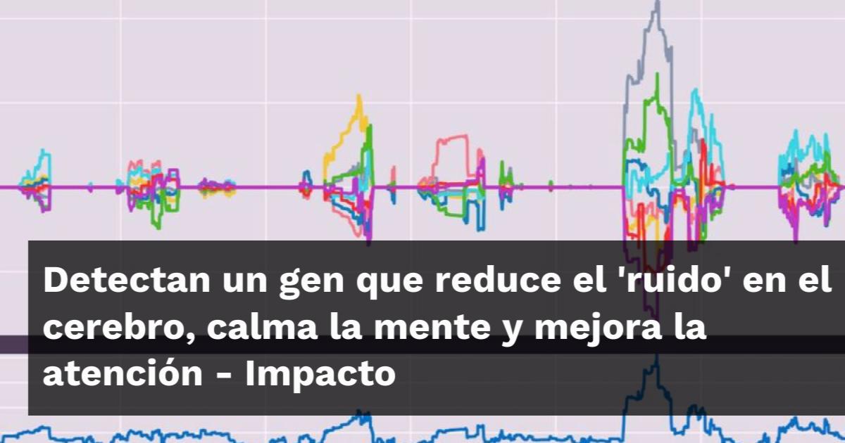 Detectan un gen que reduce el 'ruido' en el cerebro, calma la mente y ...