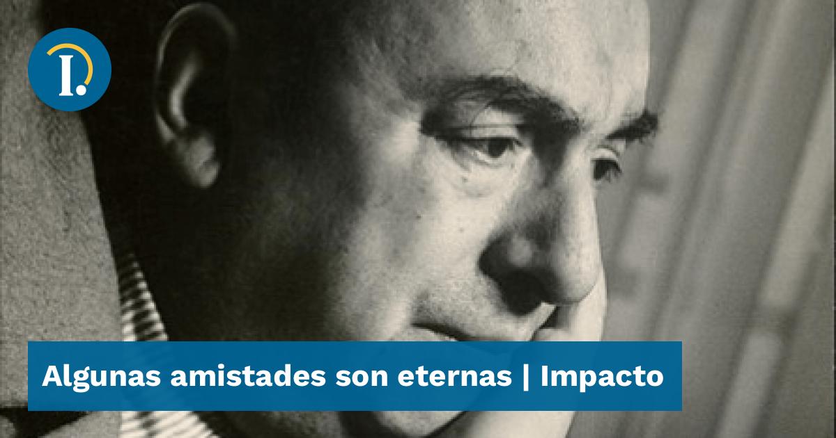 Algunas amistades son eternas - Impacto