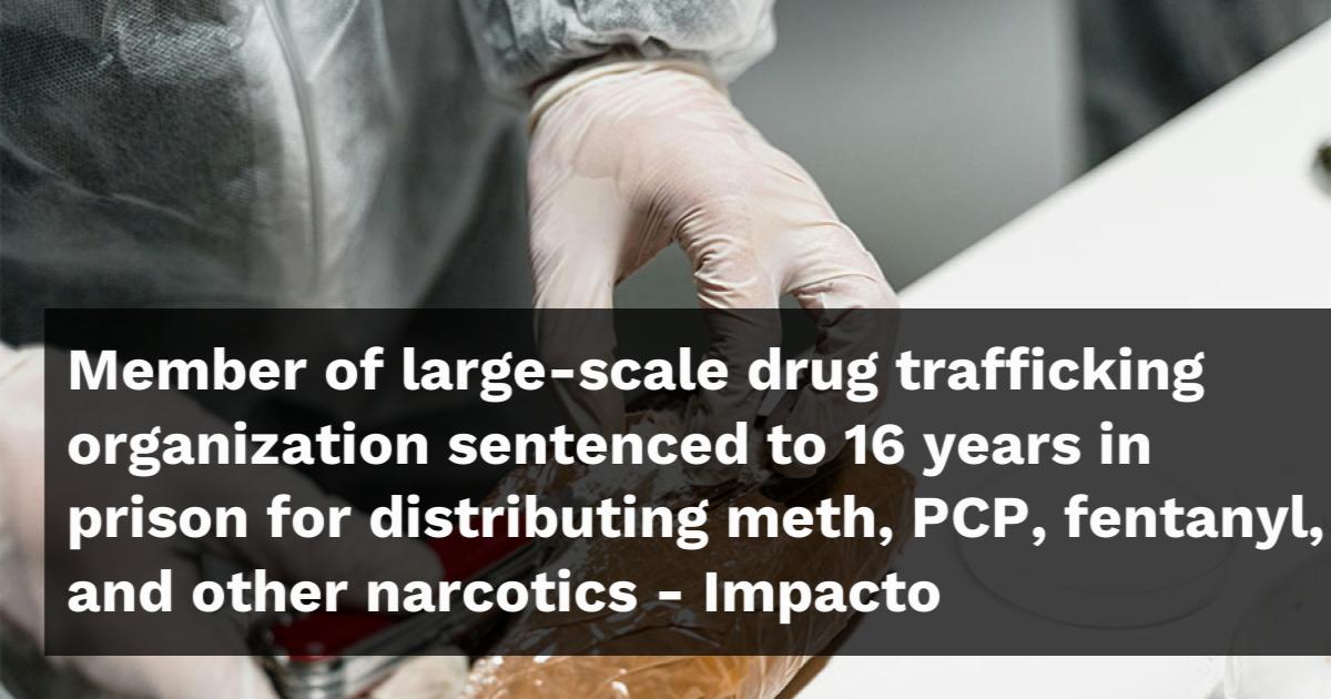 Member of large-scale drug trafficking organization sentenced to 16 ...