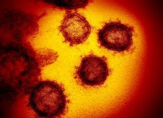 Confirman primer caso de coronavirus en Filadelfia Impactolatin