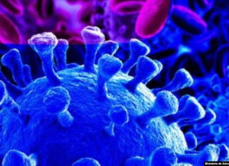 OMS: «COVID-19 ya es una pandemia» Impactolatin