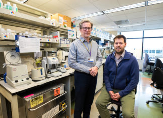 CREAN TEST PARA USO MASIVO Impactolatin