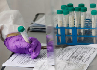 Reacción de la comunidad científica ante COVID-19 parte 2 Reacción de la comunidad científica ante COVID-19 parte 2