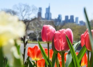 Filadelfia Celebra Virtualmente la Semana de la Tierra 2020 Filadelfia Celebra Virtualmente la Semana de la Tierra 2020