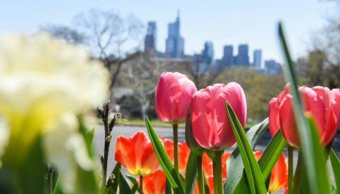 Filadelfia Celebra Virtualmente la Semana de la Tierra 2020