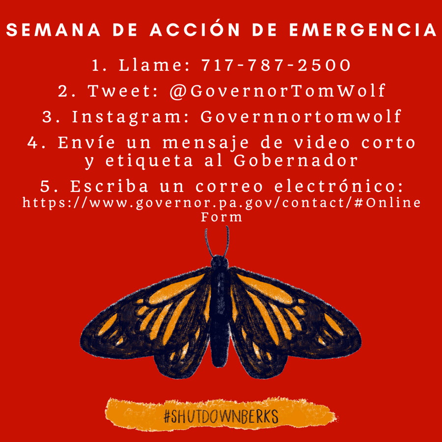 Wolf, Es hora de la Acción.