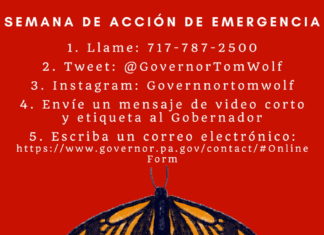 Wolf, Es hora de la Acción. Wolf, Es hora de la Acción.