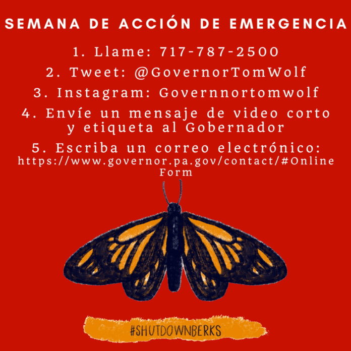 Wolf, Es hora de la Acción.