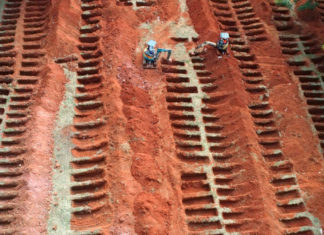 Brasil a la cabeza del COVID-19 en medio de polémicas aperturas
