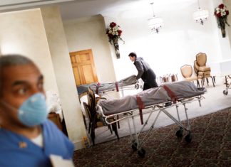 Radiografía del Covid-19 Parte II