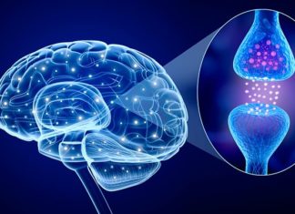 La salud mental y los neurotransmisores