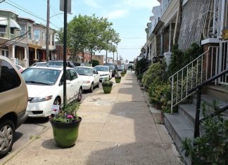 Más que un Árbol Más que un Árbol