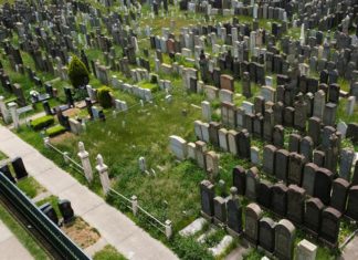 Dia De Los Caídos y Petición A Trump.