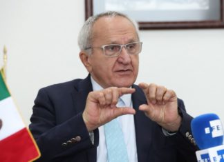 Jesús Seade en la candidatura para encabezar la OMC