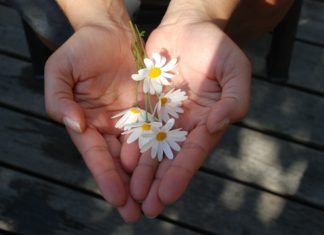 Abrazos para el alma…La solidaridad con el prójimo