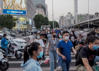 ¿Fue la sopa de murciélago?