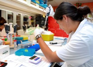 Científicos dicen saber cómo parar el desarrollo del cáncer de páncreas.