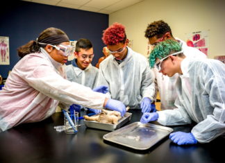 ¿El color importa en las ciencias?