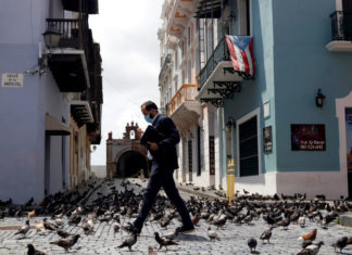 Aprueban traspaso edificio Museo de Vida Silvestre a El Comedor de la Kennedy