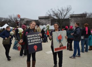 La juventud a las urnas