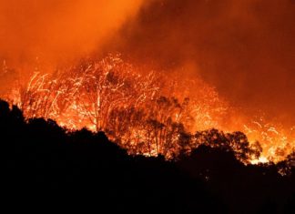 Cientos de miles de hogares sufren apagones en California por los incendios