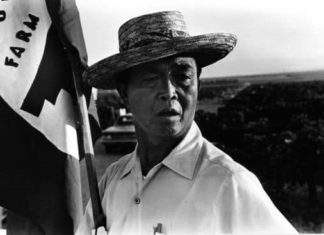 El admirable hermano Pete, (parte III)