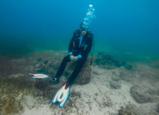 Colaboración P R y el Instituto Wistar de Filadelfia