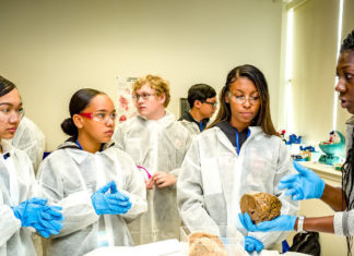Las maravillas de las ciencias a tu alcance