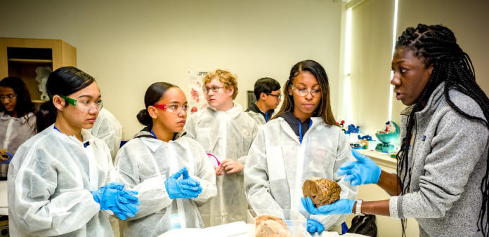Las maravillas de las ciencias a tu alcance