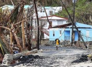 Ya regresó la mayoría de los que se fueron tras María