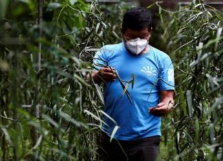 Aumenta un 2,2% el envío de remesas desde EE. UU. hacia El Salvador