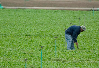 Premios Herencia Hispana reconocen la heroica labor de los campesinos