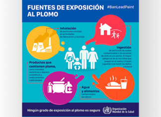 El envenenaniento con plomo es prevenible