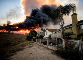 Elecciones y clima «Reporte Verde»