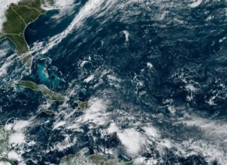 Elecciones de Impacto Verde