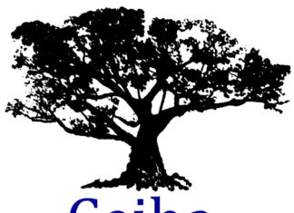 William González, uno de los rostros detrás del triunfo