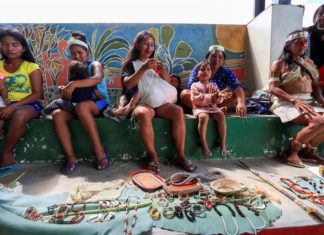 Ajo de monte, agua de bejuco y matico contra la covid-19 en Amazonía de Ecuador