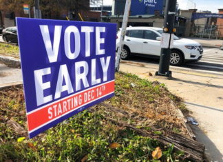 Comienza en Georgia votación anticipada para dos puestos al Senado de EE.UU.