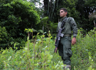 Informe: EE. UU. necesita enfoque «más inteligente» en lucha contra las drogas en Latinoamérica