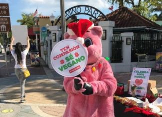 Regalan jamón vegano a latinos de Miami para que se compadezcan del lechón