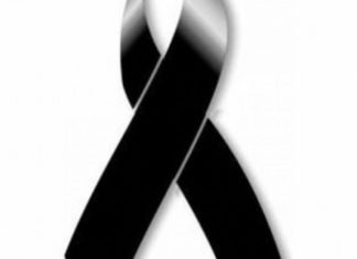 De Naya Rivera a Vanessa Guillén, diez latinos que dijeron adiós en 2020