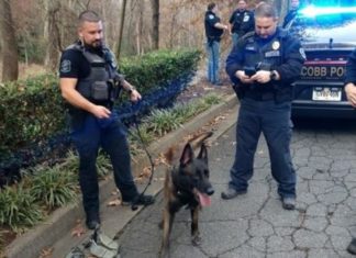 Un perro policía culmina la cacería a un latino sospechoso de asesinato
