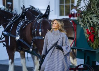 Melania lamenta las muertes, incluida la del aparente suicidio y no admite criticas