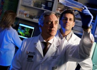 Prueba con células madre en enfermos de covid-19 muestra resultado alentador