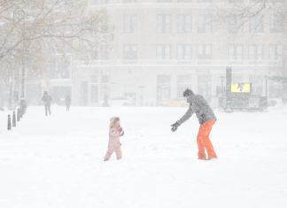 Día de la Marmota: Punxsutawney Phil predice seis semanas más de invierno