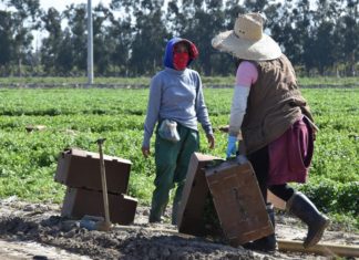 “Oportunidades” para centroamericanos anunciará la Casa Blanca