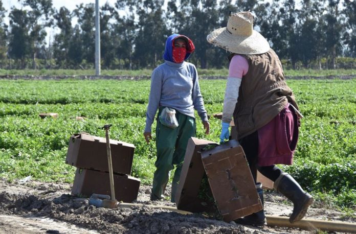 4083c7168f8d10a06f573e984a695112993793c2w