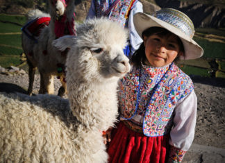 Online Raymi Fest: celebrando los carnavales andinos