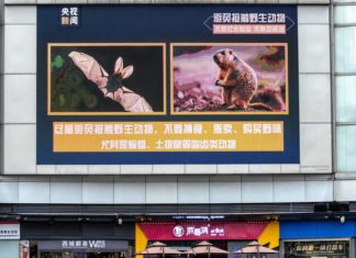 ¿Qué sabemos del origen del SARS-CoV-2?