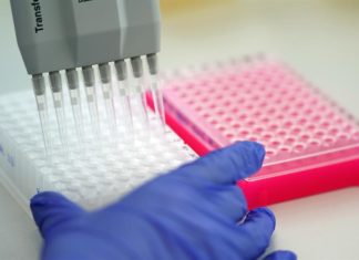 Reino Unido aprueba el primer estudio anticovid donde se infecta a gente sana